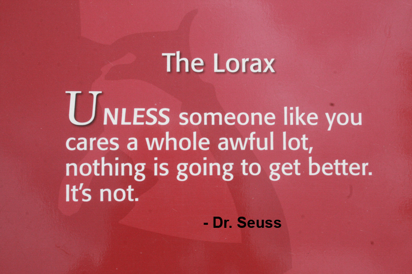 The Lorax wisdom