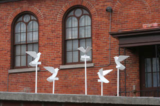 Doves on the Wall