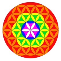 The Flower of LIfe 6