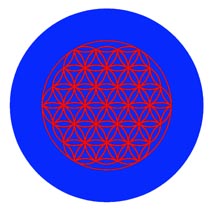 The Flower of LIfe