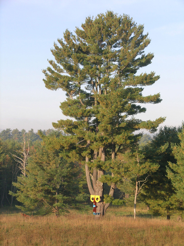 Tall Tree and Figure with Red Nose