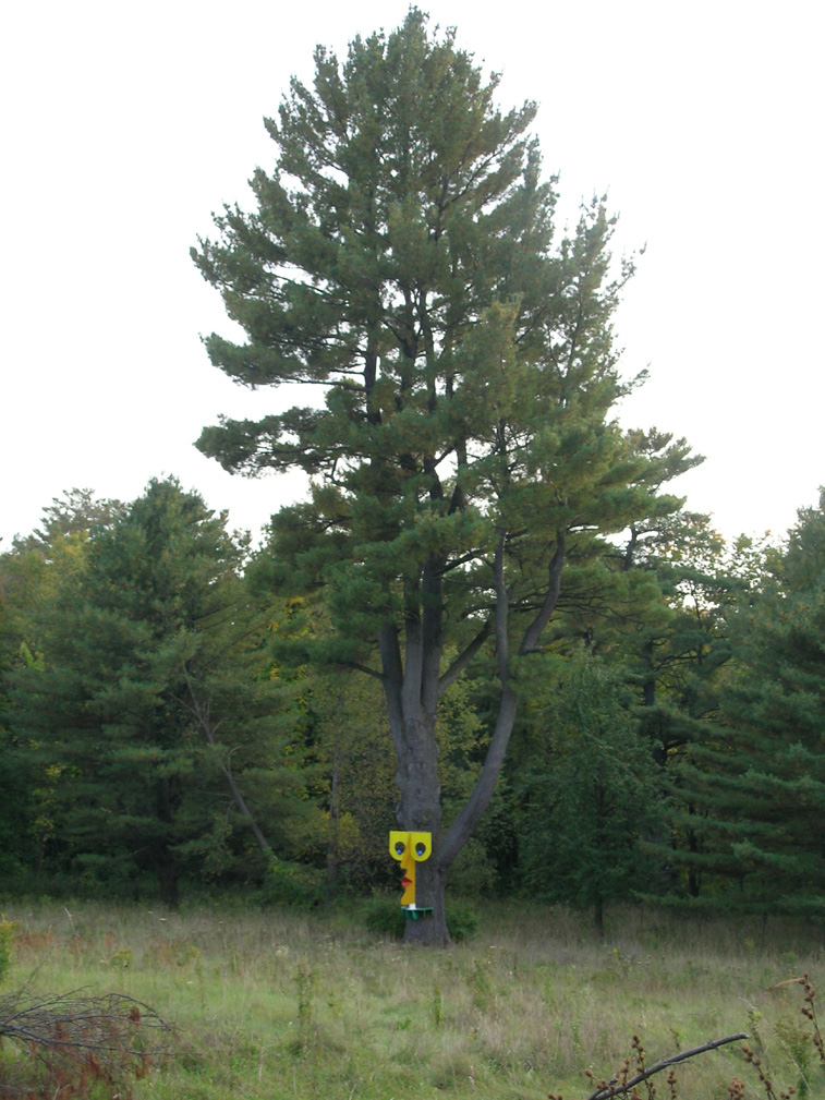 Tall Tree and Figure with Yellow Nose