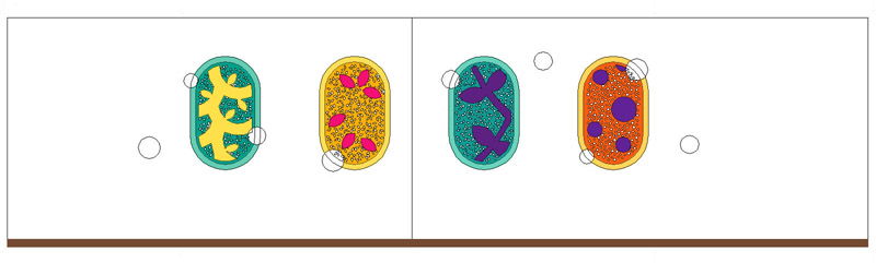 4 panel study with ceramic elements