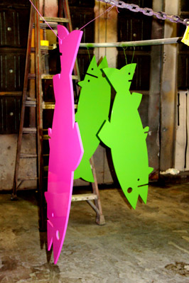 Magenta and green fish