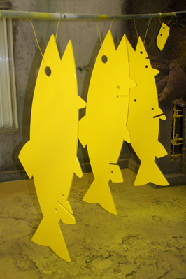 yellow fish